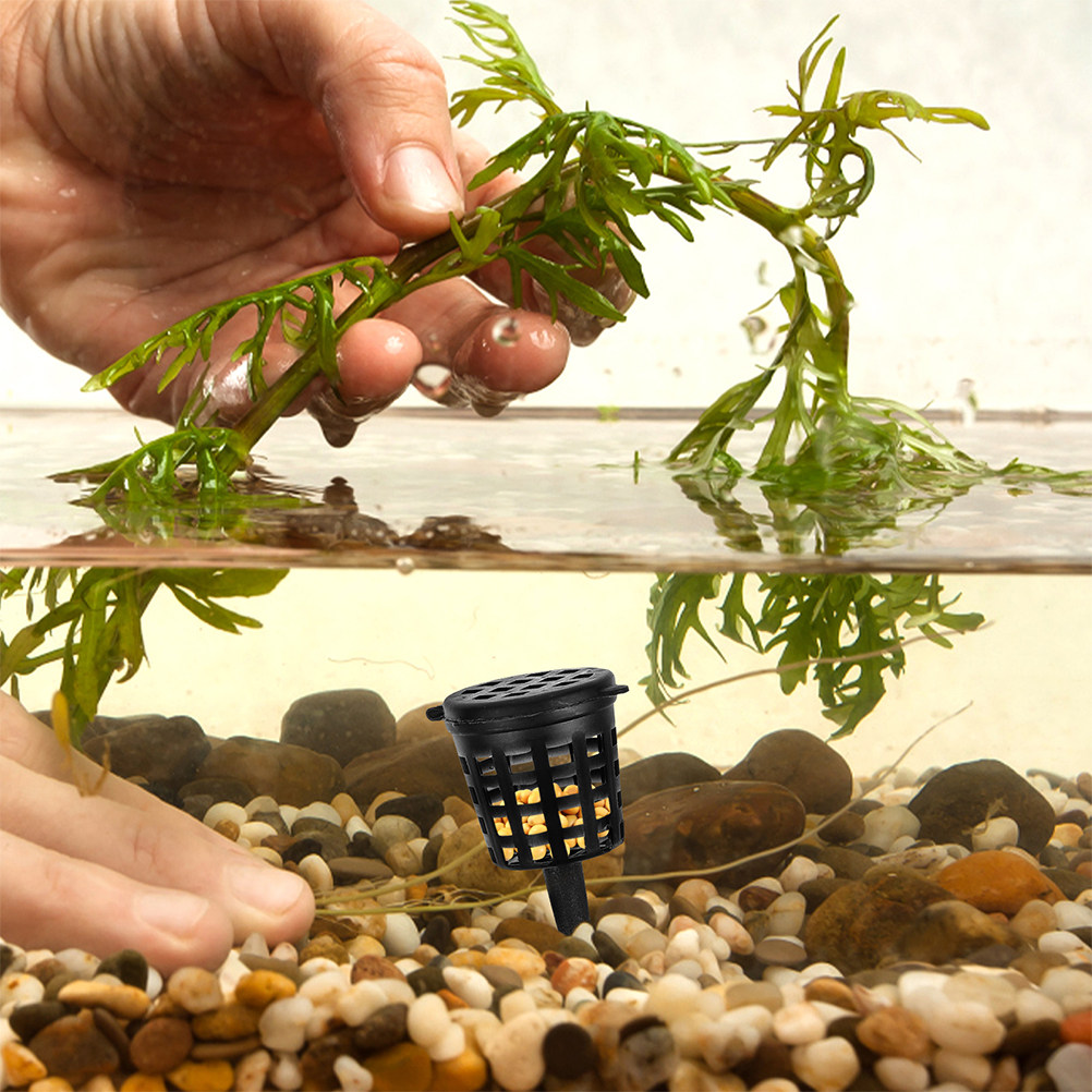 120 قطعة، غطاء سلة سماد، حاوية - مراجعة Planted Aquarium Fertilizer وسعره