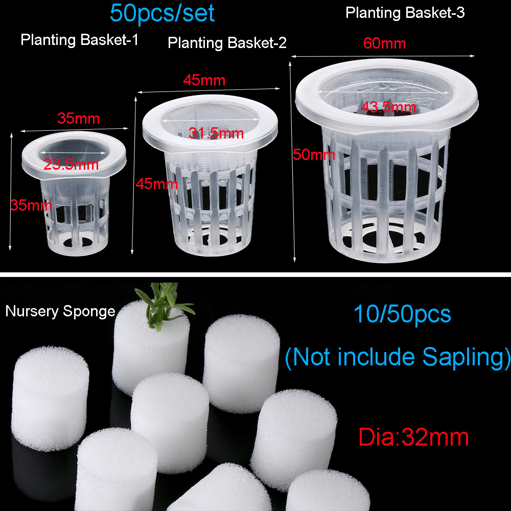 10/50 قطعة لوازم الحدائق زراعة - مراجعة Aquarium Planted Seeds وسعره